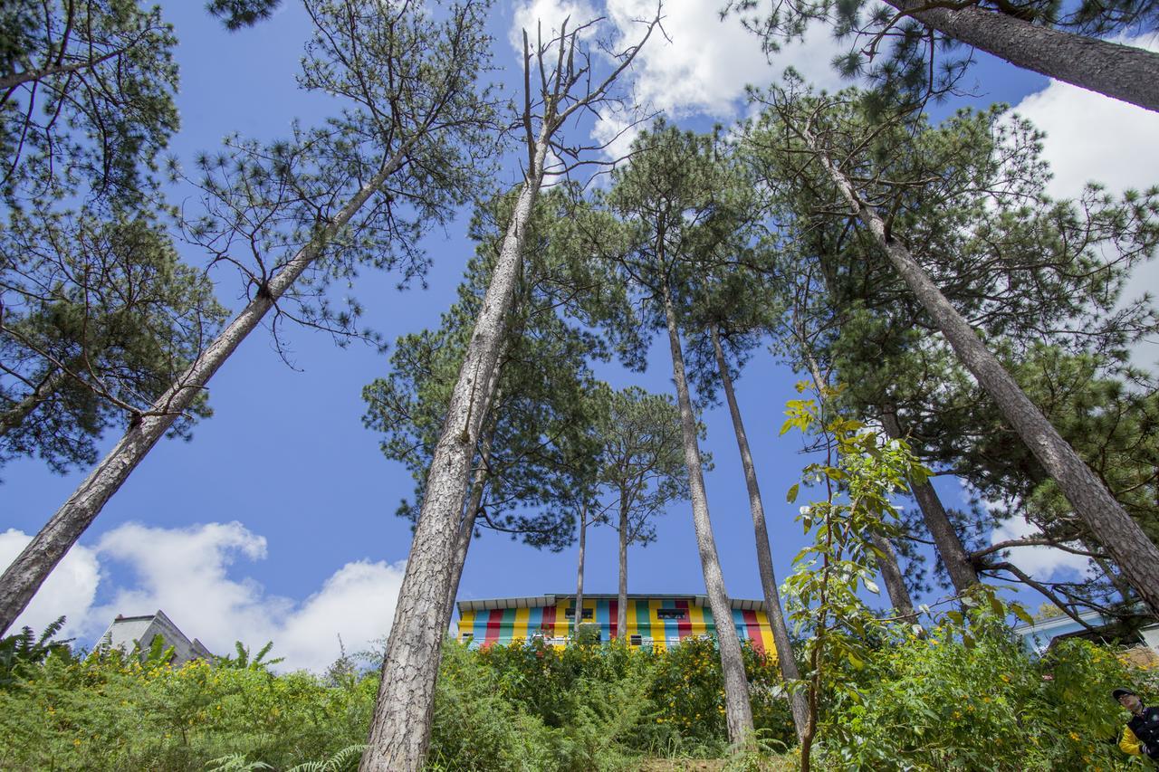 Icolor Dalat Hostel Zewnętrze zdjęcie